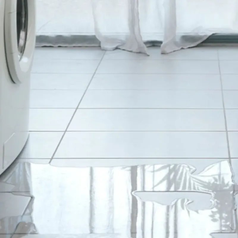Appliance Leak Cleanup in Commerce, GA