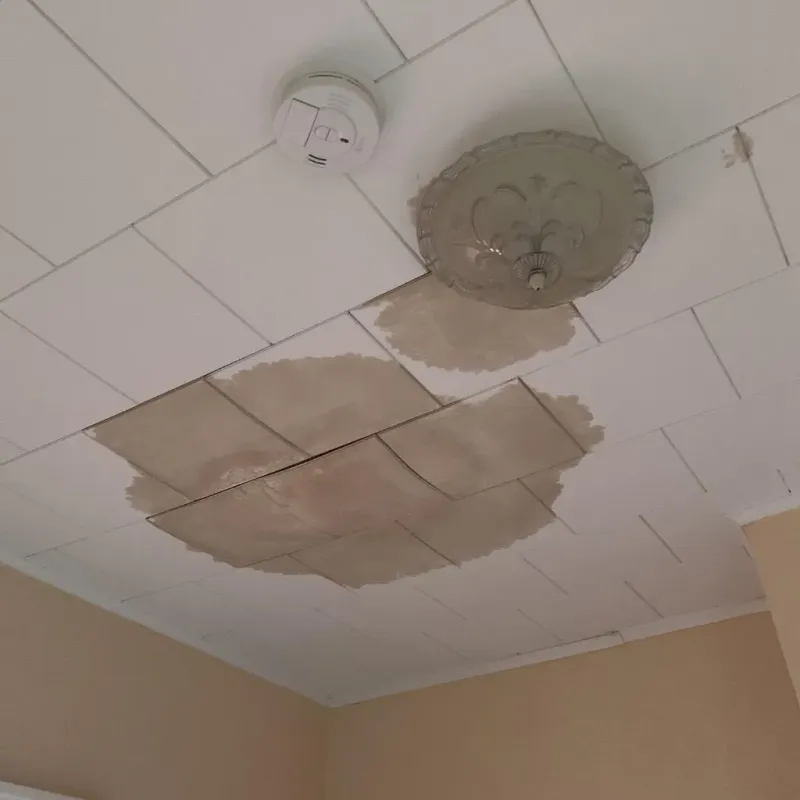 Ceiling Water Damage Repair in Commerce, GA